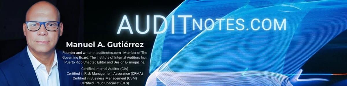 auditnotes.com