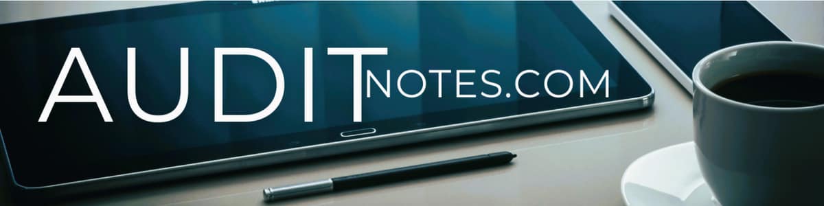 auditnotes.com